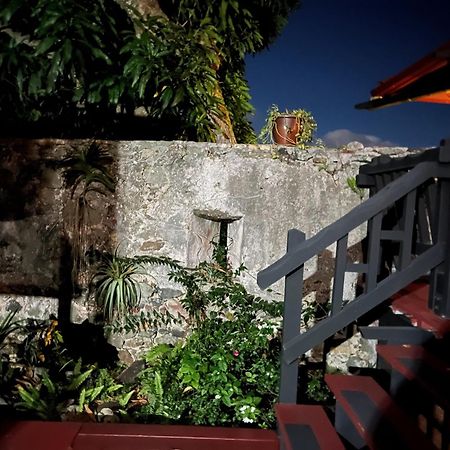 Apartamento Mid-Century: Caribbean Style Contant  Exterior foto