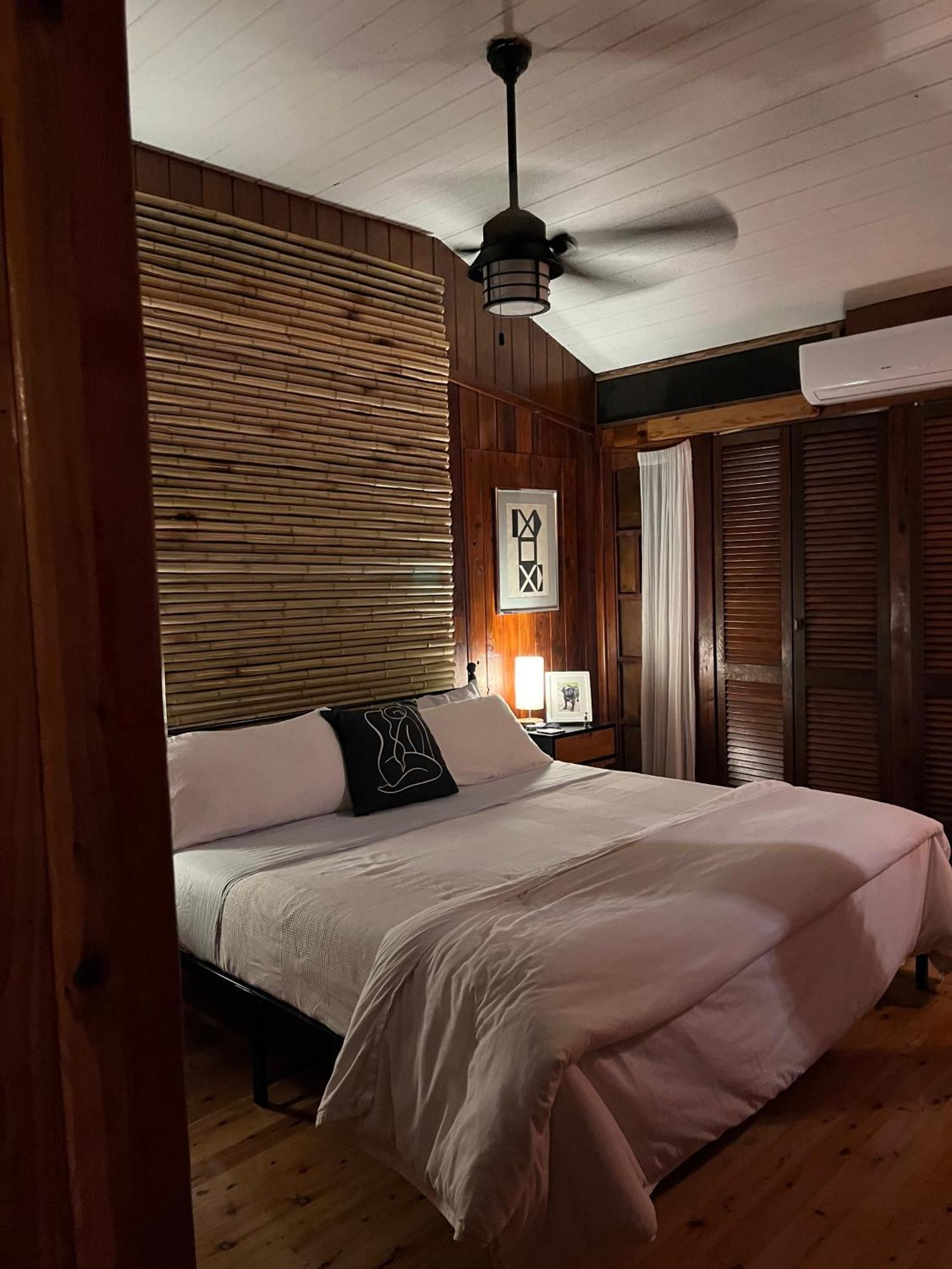 Apartamento Mid-Century: Caribbean Style Contant  Exterior foto